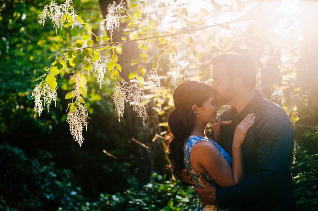 Tacoma Enagement in the Trees with filtered sunset light